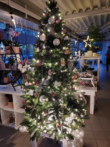 Weihnachtsblumen Hannover